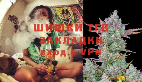 СК Няндома