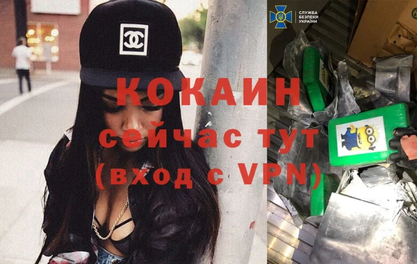 прущие крисы Новозыбков