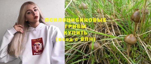 круглые Нягань