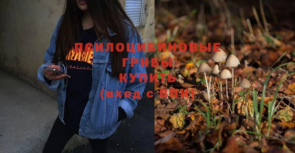 прущая мука Новокубанск