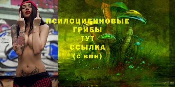прущие крисы Новозыбков