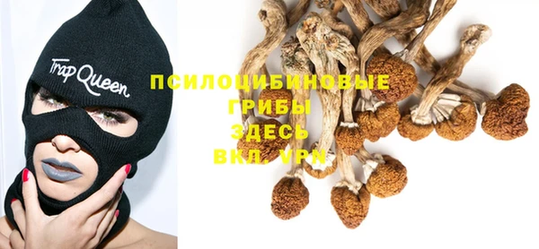 круглые Нягань